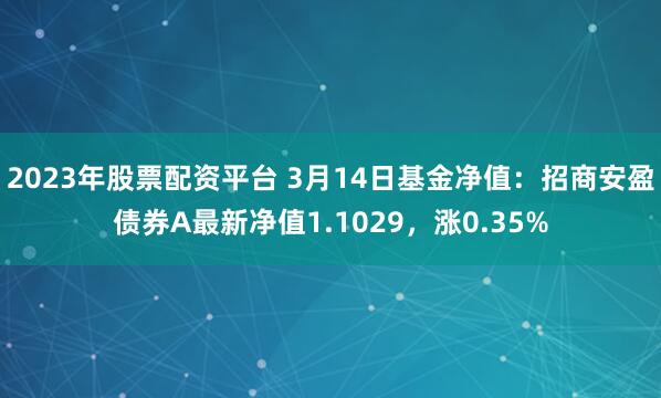 2023年股票配资平台 3月14日基金净值：招商安盈债券A最新净值1.1029，涨0.35%