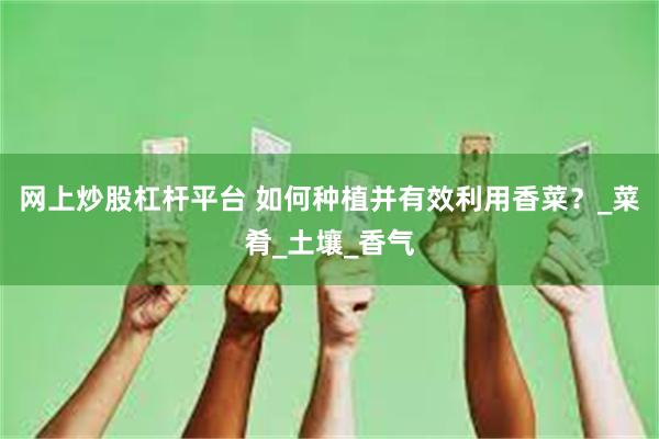 网上炒股杠杆平台 如何种植并有效利用香菜？_菜肴_土壤_香气
