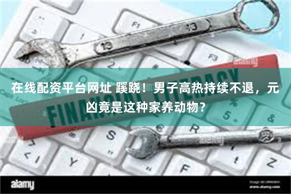 在线配资平台网址 蹊跷！男子高热持续不退，元凶竟是这种家养动物？
