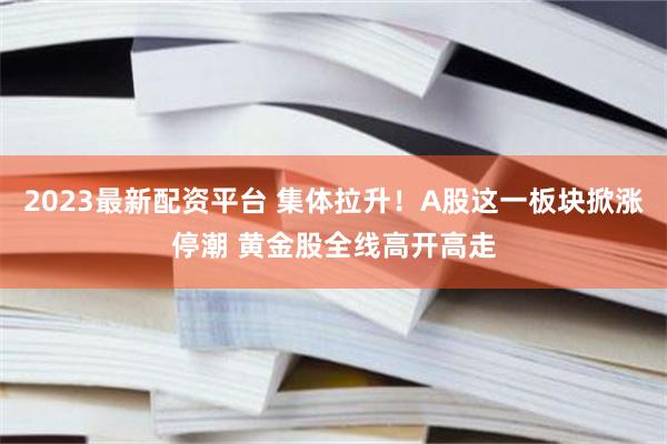 2023最新配资平台 集体拉升！A股这一板块掀涨停潮 黄金股全线高开高走