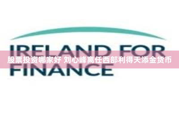 股票投资哪家好 刘心峰离任西部利得天添金货币