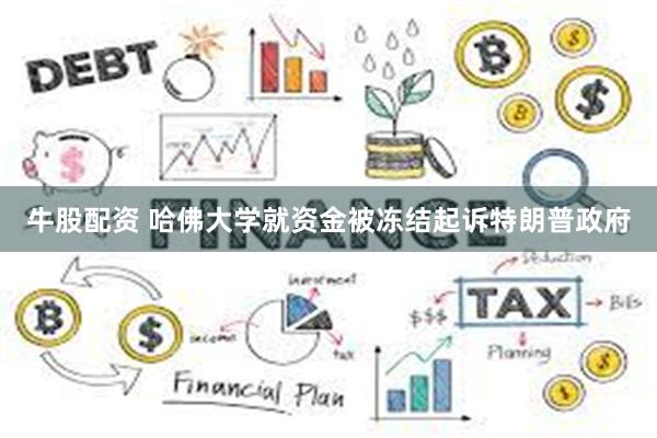 牛股配资 哈佛大学就资金被冻结起诉特朗普政府