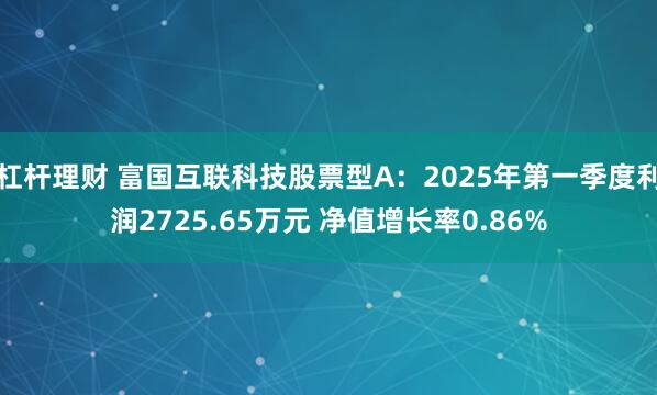 杠杆理财 富国互联科技股票型A：2025年第一季度利润2725.65万元 净值增长率0.86%