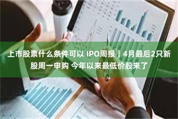 上市股票什么条件可以 IPO周报｜4月最后2只新股周一申购 今年以来最低价股来了