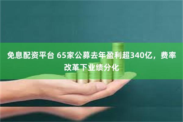 免息配资平台 65家公募去年盈利超340亿，费率改革下业绩分化