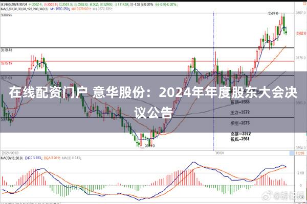 在线配资门户 意华股份：2024年年度股东大会决议公告