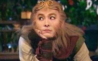 西游记张卫健版演员表,经典角色再现江湖